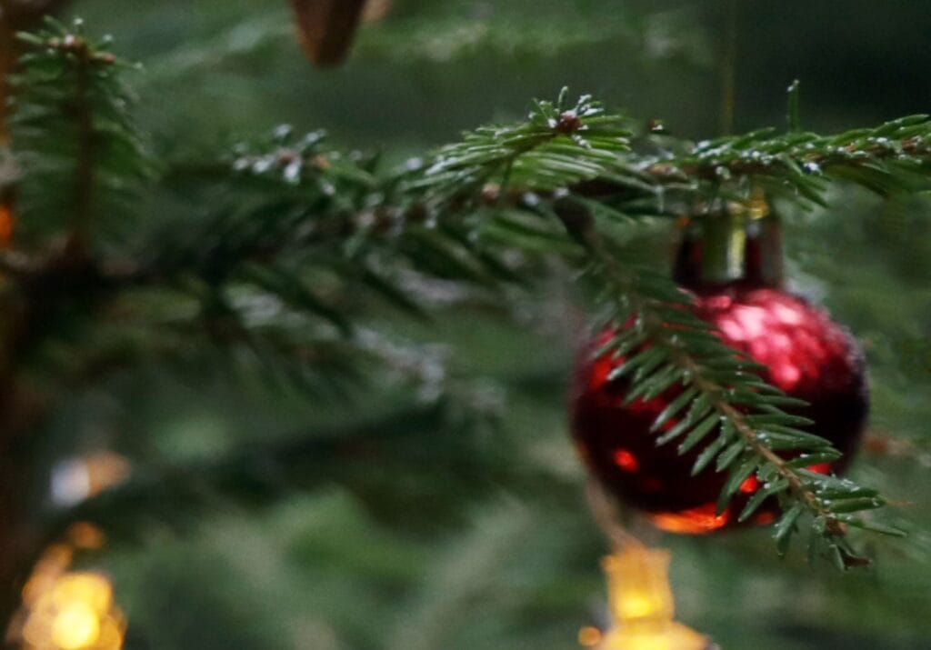 Joulun aika lippukunnassa - Lue lisää