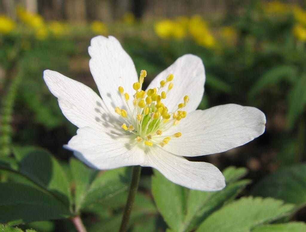 Partiokevään tapahtumia - Lue lisää